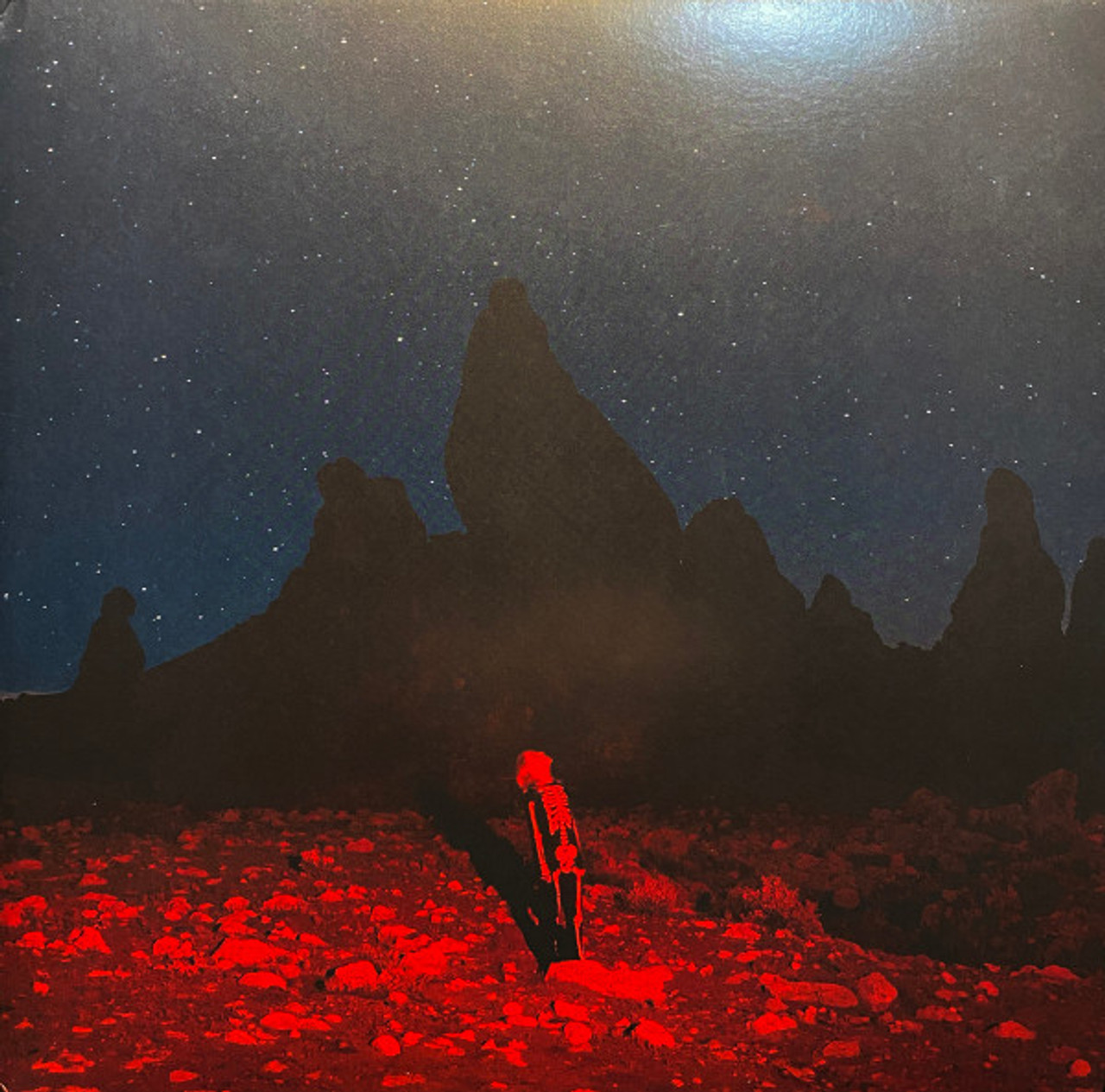 BRIDGERS, PHOEBE - PUNISHER